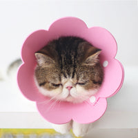 HKM-1698237 Cat Anti-Lick Elizabeth Circle - Sunflower Sponge Paper in Yellow and Pink, Multiple Sizes Available
