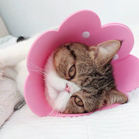 HKM-1698237 Cat Anti-Lick Elizabeth Circle - Sunflower Sponge Paper in Yellow and Pink, Multiple Sizes Available