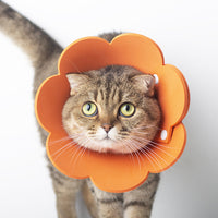 HKM-1698237 Cat Anti-Lick Elizabeth Circle - Sunflower Sponge Paper in Yellow and Pink, Multiple Sizes Available
