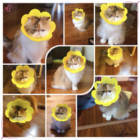 HKM-1698237 Cat Anti-Lick Elizabeth Circle - Sunflower Sponge Paper in Yellow and Pink, Multiple Sizes Available