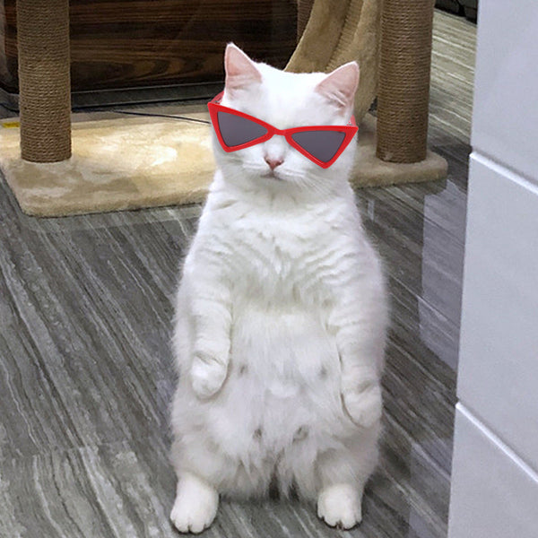HKM-1700797 Colorful Pet Sunglasses for Dogs and Cats - Leisure Fashion Accessories in Various Shades
