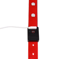 HKM-1701181 Adjustable Luminous Waterproof Cat and Dog Collar in Red, Green, Blue, and Pink ¨C All-Season TPU Design