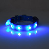 HKM-1701181 Adjustable Luminous Waterproof Cat and Dog Collar in Red, Green, Blue, and Pink ¨C All-Season TPU Design