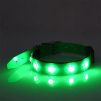 HKM-1701181 Adjustable Luminous Waterproof Cat and Dog Collar in Red, Green, Blue, and Pink ¨C All-Season TPU Design