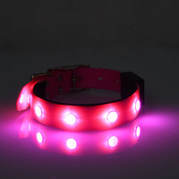 HKM-1701181 Adjustable Luminous Waterproof Cat and Dog Collar in Red, Green, Blue, and Pink ¨C All-Season TPU Design