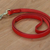 HKM-1702973 Leather Pet Traction Strap in Blue, Green, or Red - 1.2cm/1.8cm Width, 120cm Length, Suitable for Dogs Up to 35KG