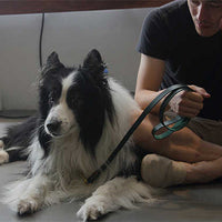 HKM-1702973 Leather Pet Traction Strap in Blue, Green, or Red - 1.2cm/1.8cm Width, 120cm Length, Suitable for Dogs Up to 35KG