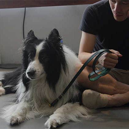 HKM-1702973 Leather Pet Traction Strap in Blue, Green, or Red - 1.2cm/1.8cm Width, 120cm Length, Suitable for Dogs Up to 35KG