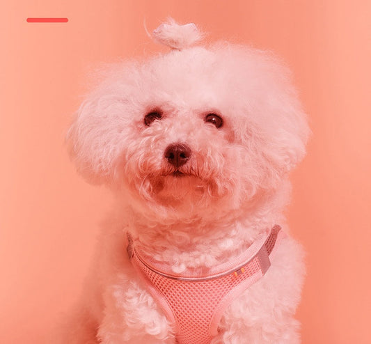 HKM-170387 Reflective Outdoor Dog Walking Vest with Leash - Breathable Cotton, Multiple Sizes & Colors Available