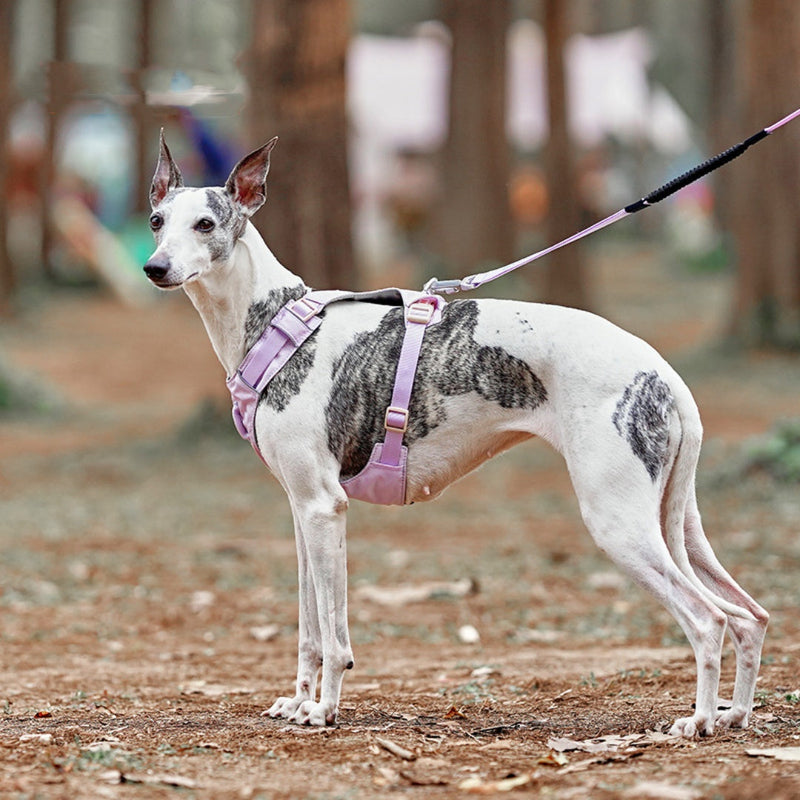 HKM-1708221 Adjustable Rope Pet Harness for Medium to Large Dogs - Multiple Color Options Available