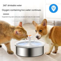 HKM-1710781 Stainless Steel Electric Pet Water Dispenser with 2.2L Capacity