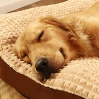 HKM-1712189 Cozy Fleece Pet Blanket and Detachable Cushion Mat for Small to Large Dogs and Cats