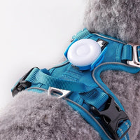 HKM-1713981 LED Dog Safety Light for Nighttime Walks - Black, Green, Blue, Red