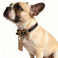HKM-1716669 Japanese and Korean-Style Leather Pet Collar in Various Sizes