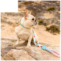 HKM-171731 Y-Shaped Nylon Dog Chest Strap and Leash Set - Adjustable for Small to Medium Dogs