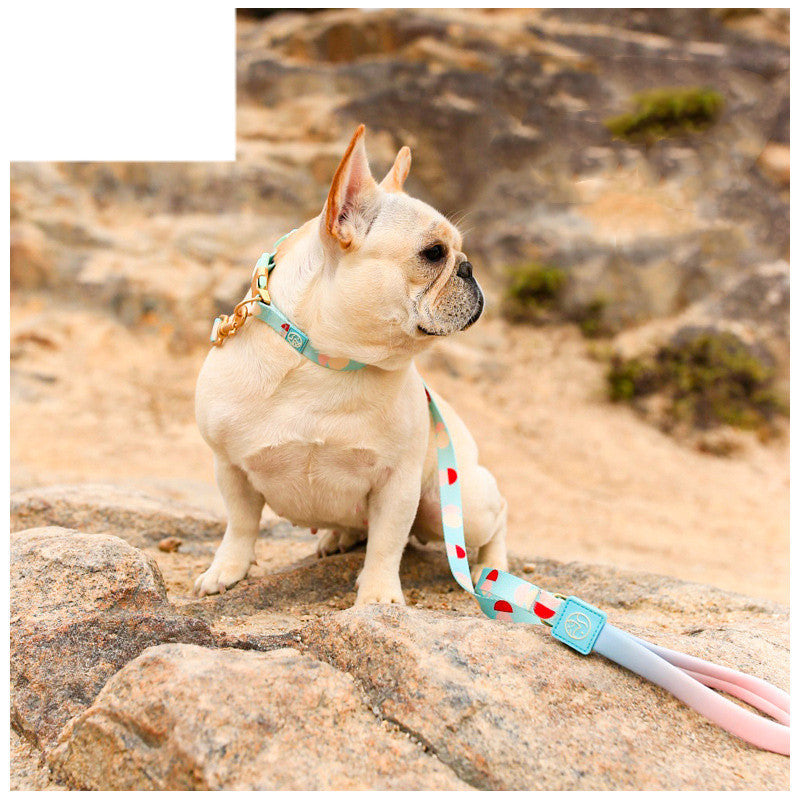 HKM-171731 Y-Shaped Nylon Dog Chest Strap and Leash Set - Adjustable for Small to Medium Dogs