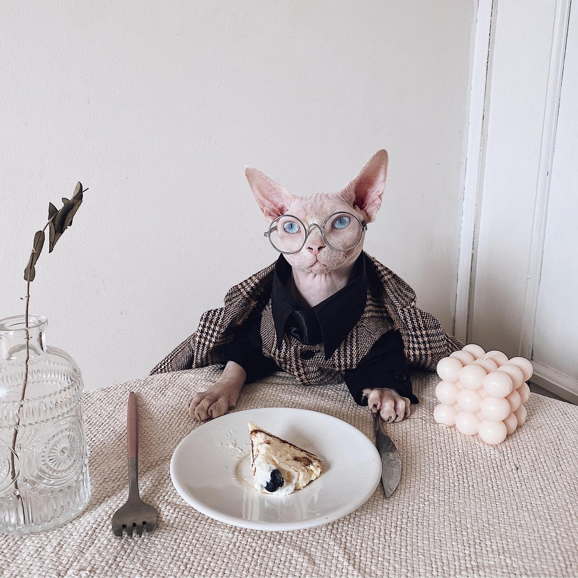 HKM-1720125 Sphinx Cat Outfit with Camel Plaid Jacket, Vest, and Shirts in Multiple Sizes