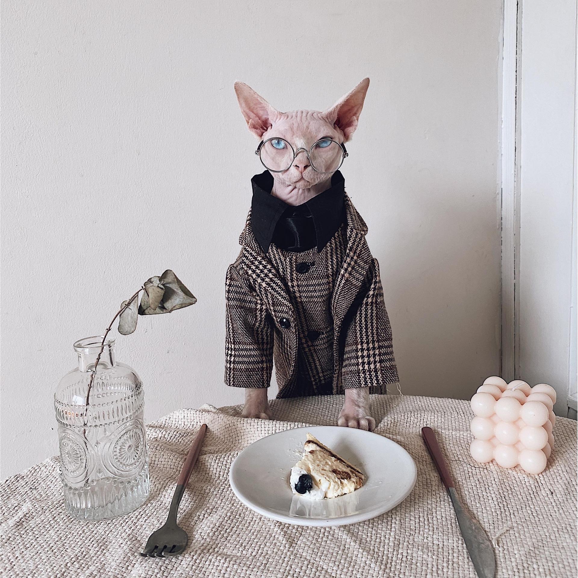 HKM-1720125 Sphinx Cat Outfit with Camel Plaid Jacket, Vest, and Shirts in Multiple Sizes