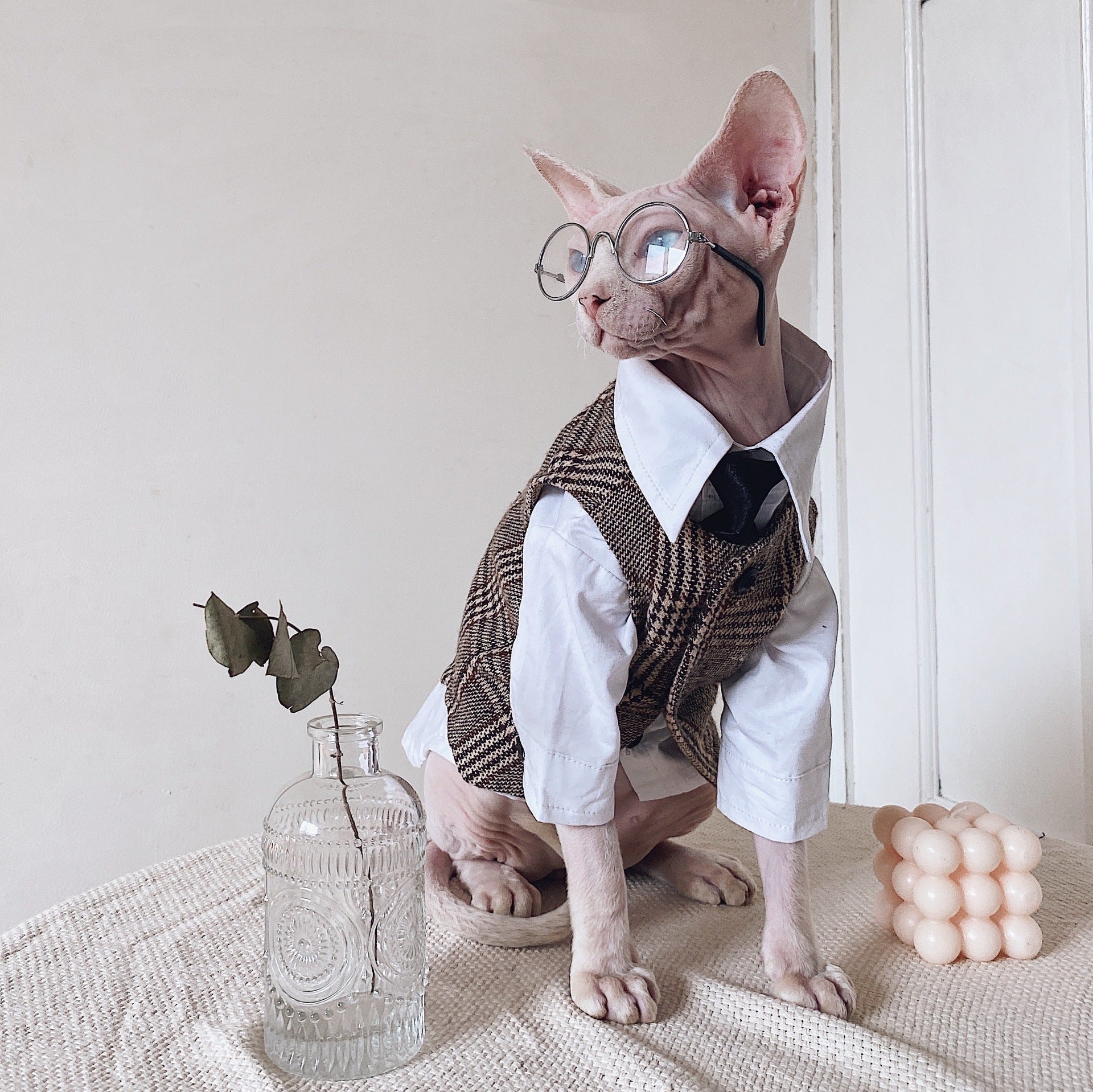 HKM-1720125 Sphinx Cat Outfit with Camel Plaid Jacket, Vest, and Shirts in Multiple Sizes