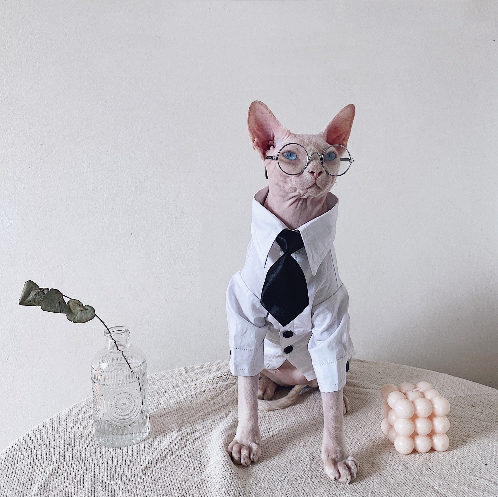 HKM-1720125 Sphinx Cat Outfit with Camel Plaid Jacket, Vest, and Shirts in Multiple Sizes