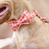 HKM-1720253 Thick Cotton and Nylon Dog Leash with Matching Collar for Medium and Large Dogs in Pink