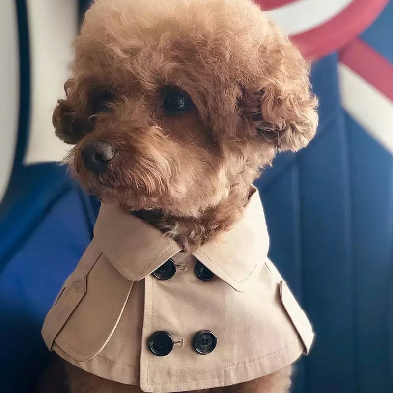 HKM-1728573 Warm British Style Pet Trench Coat for Cats and Dogs, Autumn and Winter Apparel