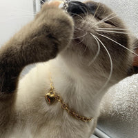 HKM-1728829 Love Heart Pendant Necklace for Pets - Stainless Steel, Multiple Lengths Available in Gold and Silver