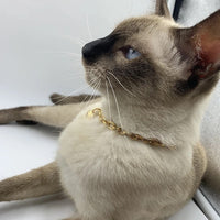 HKM-1728829 Love Heart Pendant Necklace for Pets - Stainless Steel, Multiple Lengths Available in Gold and Silver