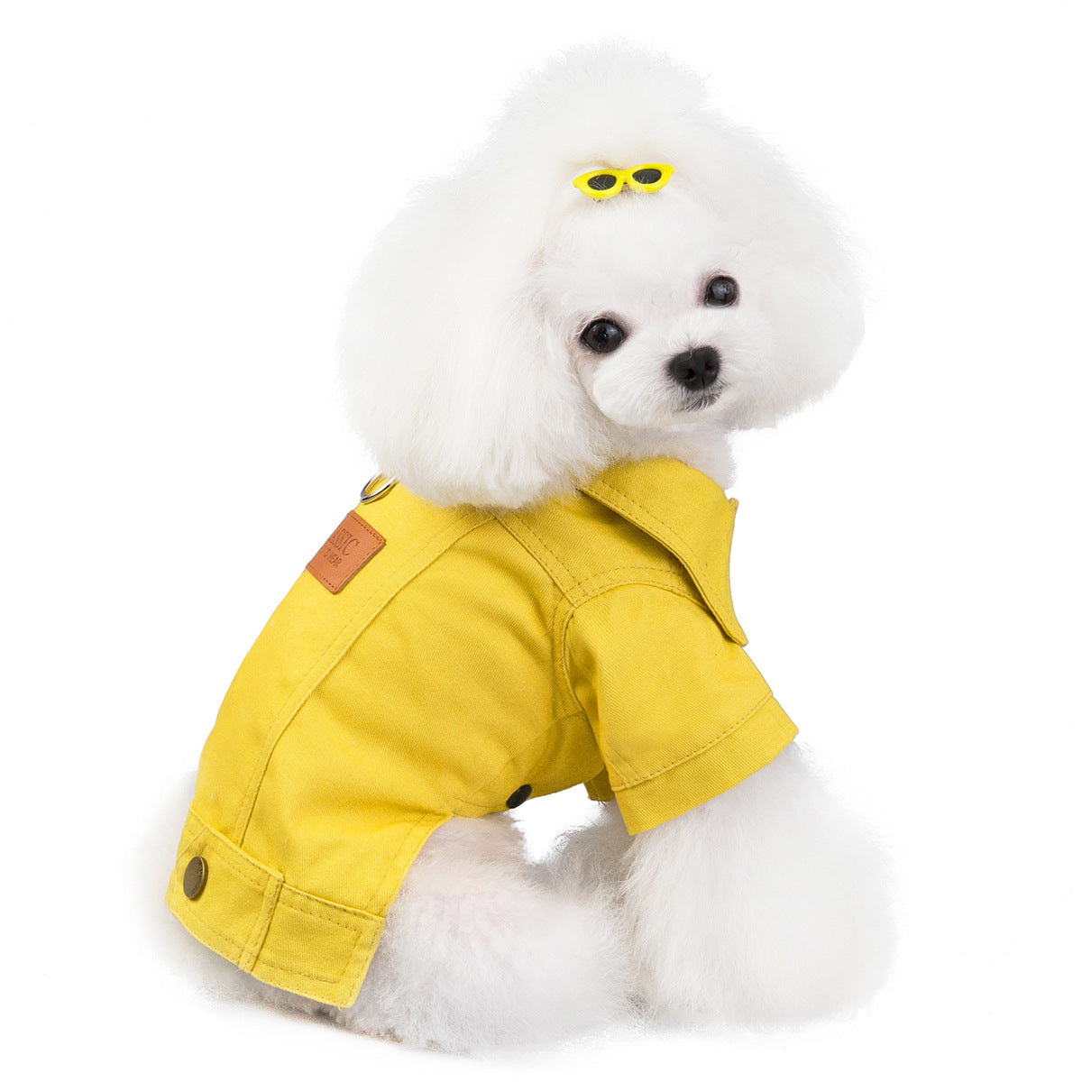 HKM-1730365 Casual Cotton Clothes for Small Pets - Available in Blue, Yellow, Green