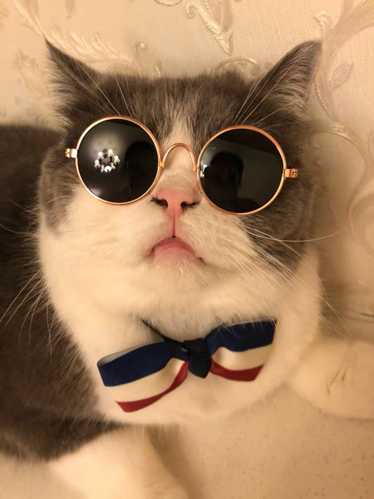 HKM-1733565 Cat Lion Mane Hat with Sunglasses - Cute Funny Pet Photo Prop