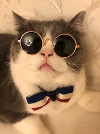 HKM-1733565 Cat Lion Mane Hat with Sunglasses - Cute Funny Pet Photo Prop
