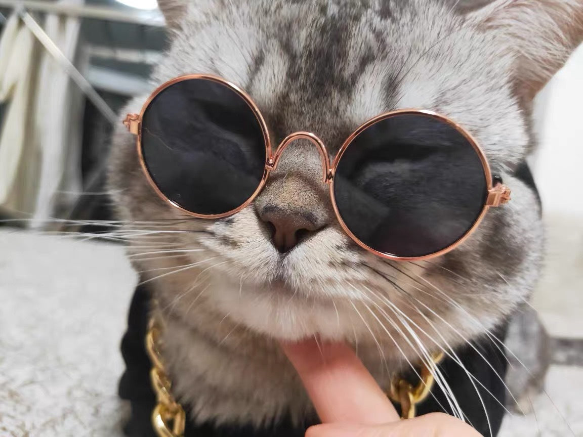 HKM-1733565 Cat Lion Mane Hat with Sunglasses - Cute Funny Pet Photo Prop