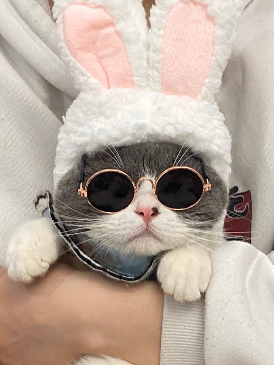 HKM-1733565 Cat Lion Mane Hat with Sunglasses - Cute Funny Pet Photo Prop