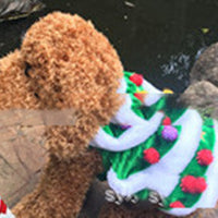 HKM-1734333 Green Christmas Tree Dog Skirt ¨C Polyester Princess Pet Outfit, Sizes XS to XXXL