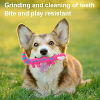 HKM-1734589 Squeaky Latex Lizard Dog Toy for Interactive Play and Training - Ideal for Small and Medium Dogs