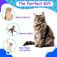 HKM-1739197 Adjustable Cat Wand Toy with Extendable Length from 8 to 17 Inches for Versatile Play