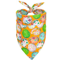 HKM-1739325 Easter-Themed Pet Party Décor Kit with Carrots, Towels, and Hair Hoop