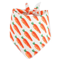 HKM-1739325 Easter-Themed Pet Party Décor Kit with Carrots, Towels, and Hair Hoop