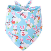 HKM-1739325 Easter-Themed Pet Party Décor Kit with Carrots, Towels, and Hair Hoop