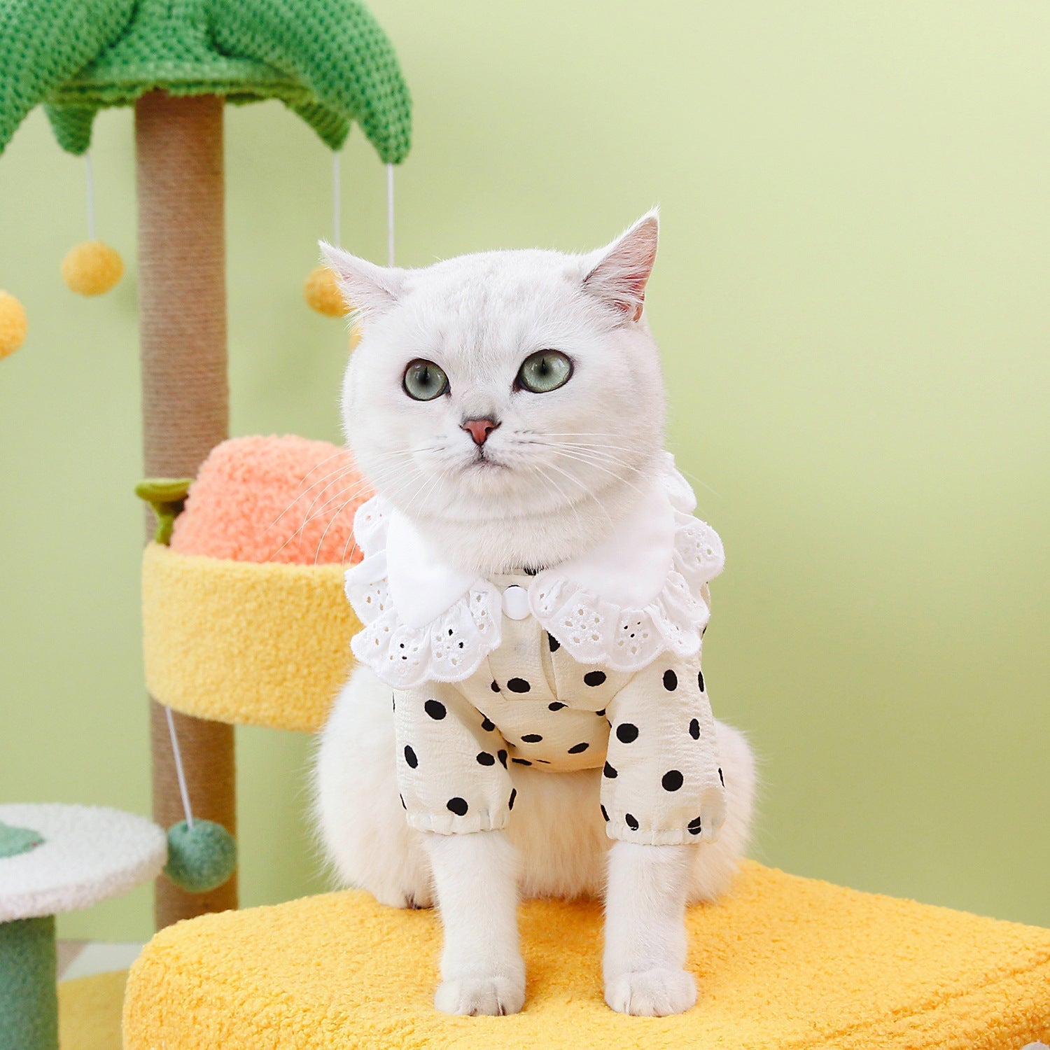 HKM-1740093 Casual Blue Ragdoll Cat T-Shirt in Black and Beige - Polyester Clothing for Pets