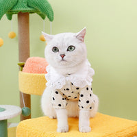 HKM-1740093 Casual Blue Ragdoll Cat T-Shirt in Black and Beige - Polyester Clothing for Pets