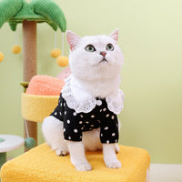 HKM-1740093 Casual Blue Ragdoll Cat T-Shirt in Black and Beige - Polyester Clothing for Pets