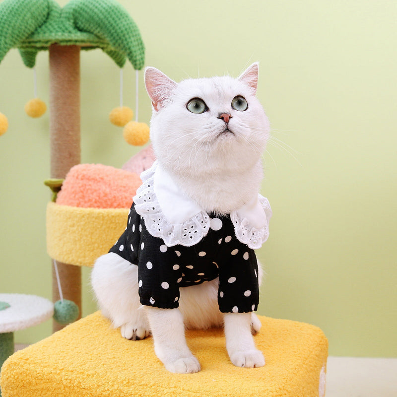 HKM-1740093 Casual Blue Ragdoll Cat T-Shirt in Black and Beige - Polyester Clothing for Pets
