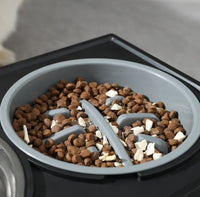 HKM-1743677 Adjustable Elevated Pet Bowl Set with Stainless Steel Double Bowl and Slow Feeder