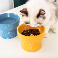 HKM-1747645 Ceramic Pet Bowl with Concave-Convex Design, Available in Multiple Colors, 480ml and 250ml Capacities