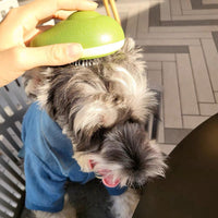 HKM-1750717 Portable Pet Grooming Comb with One-Click Self-Cleaning Massage Brush for Cats and Dogs