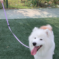 HKM-1753021 Multifunctional PVC Running Leash for Pets - Waterproof and Soft Handling Rope