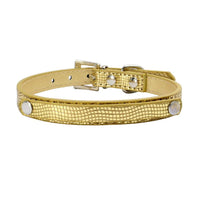 HKM-175379 Personalized Snake and Crocodile Pattern Dog Collar with Adjustable Sizes