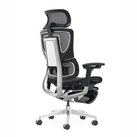 HKM-176595 Ergonomic Mesh Computer Office Chair for Home Office – Model SM008ED-A-L