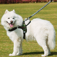 HKM-177107 Adjustable Chest Harness Dog Leash - Standard 75-105cm & Extended 120-150cm Options